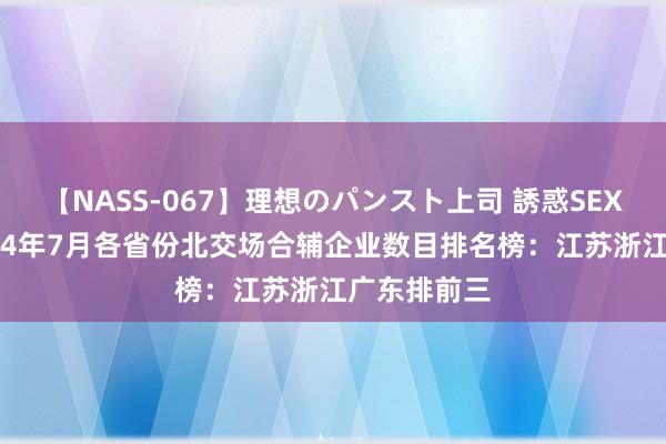 【NASS-067】理想のパンスト上司 誘惑SEX総集編 2024年7月各省份北交场合辅企业数目排名榜：江苏浙江广东排前三