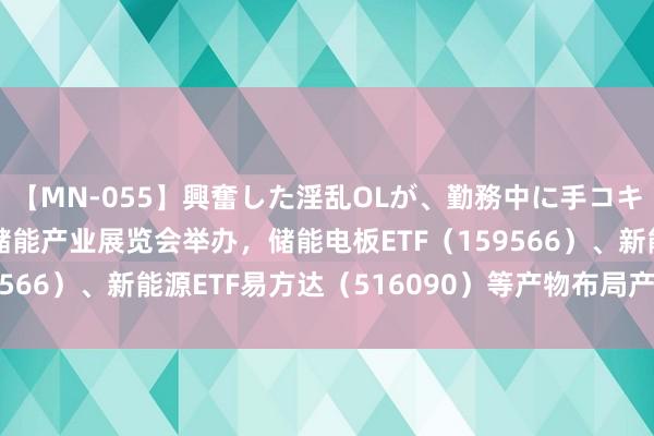 【MN-055】興奮した淫乱OLが、勤務中に手コキ！！？？ 天下电板及储能产业展览会举办，储能电板ETF（159566）、新能源ETF易方达（516090）等产物布局产业链龙头