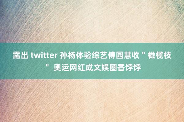 露出 twitter 孙杨体验综艺傅园慧收＂橄榄枝＂ 奥运网红成文娱圈香饽饽